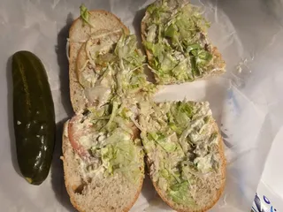 Ned's Krazy Sub