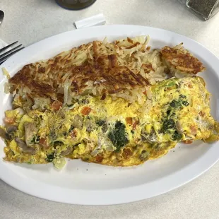 This was the veggie omelette with hash browns. I also had pancakes.