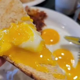 beautiful runny yolk, perfect for dipping sourdough into (:
