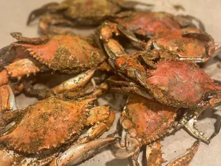 Salty Dog's Crab House