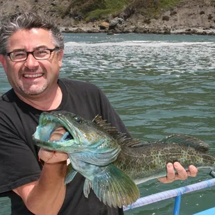 Lingcod make the best fish and chips!