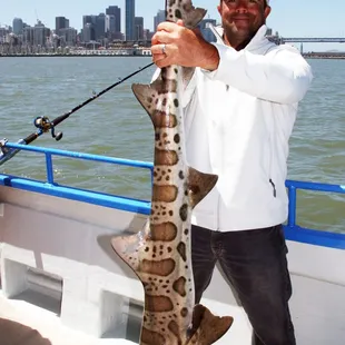 Now that is what I am talking about!