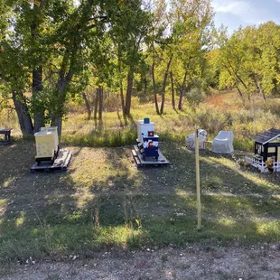 Bee Hives!! Local honey!