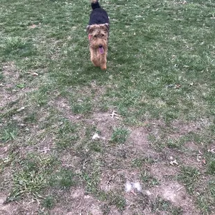 Little exercise this afternoon