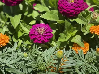 Wendt's Wildlife Adventure