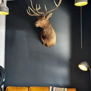 Relax, enjoy some of the best local coffee in town, and take a load off! Great vibes!