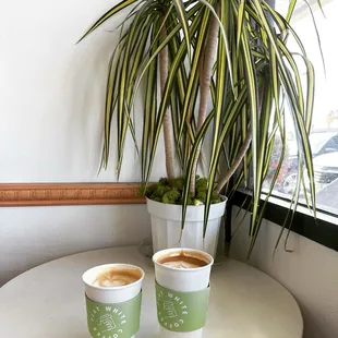 They make beautiful latte designs.