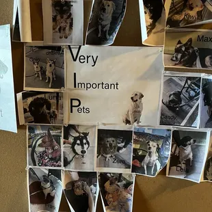 You can post your love ones!