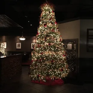 Beautiful 14&apos; tree in the entry.
