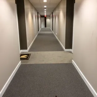 Yes that is dog 5h1t in the hallway 4 hours after the first call and still not cleaned up