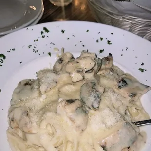 Alfredo with chicken