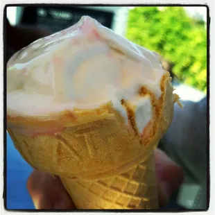 a hand holding a cone of ice cream