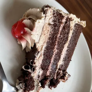 Chocolate "Moose" (aka mousse) Cake