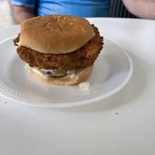 Pork tenderloin sandwich