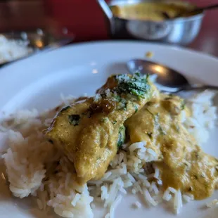 Chicken korma