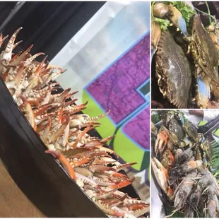 Louisiana Shrimp Gumbo Display