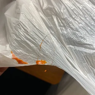 Order from door dash and found a hair in my food. Very disappointed.