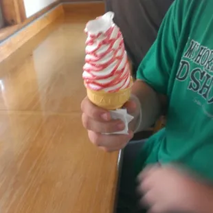 Raspberry cone