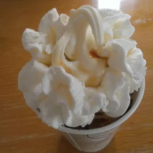 Small turtle Sundae