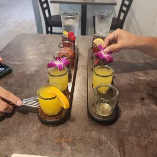 Mimosa flights