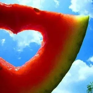 Just a photo of summer in Cincinnati...