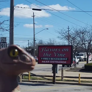 Bob the Raptor Says "I don't usually eat Vine Prey... but when I do I prefer Flavors."