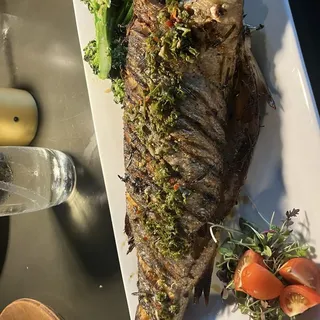 Grilled Branzino