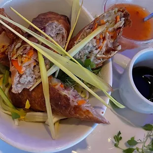 Python Spring Rolls