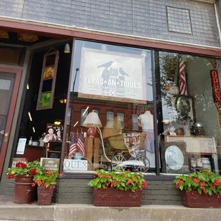 Windows always dressed provocatively