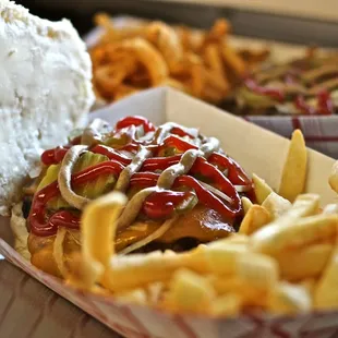 a hot dog and french fries