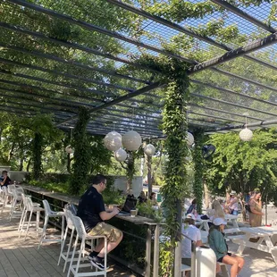 Patio/ garden