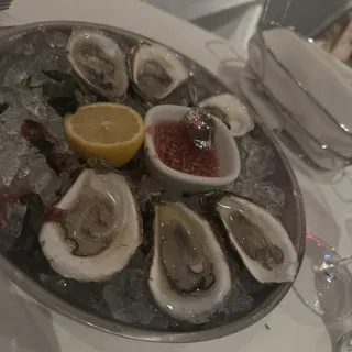 Fresh Oysters