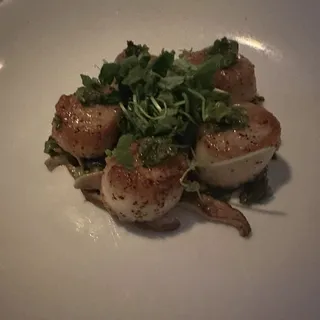 Seared Scallops