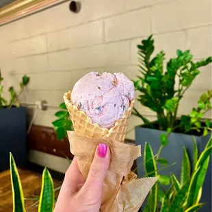 pistachio rose w/ waffle cone ($7)