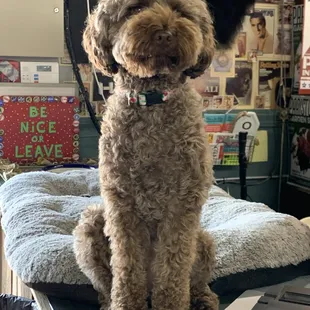 The official greeter!