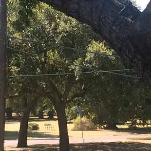 From the neutral ground on fleur de lis