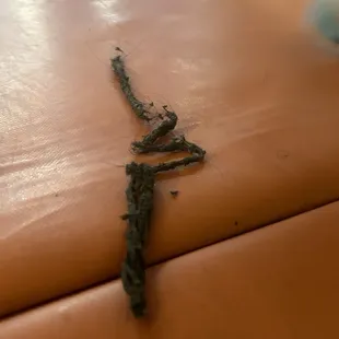 What is this?