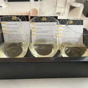 three glasses of wine in a tray