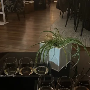 Champagne and rose flight