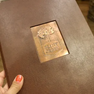 a hand holding a book