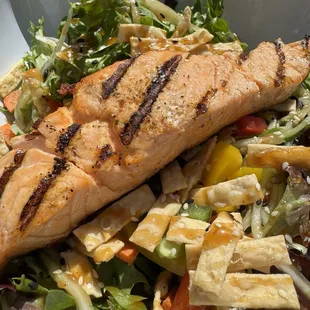 Salmon Salad
