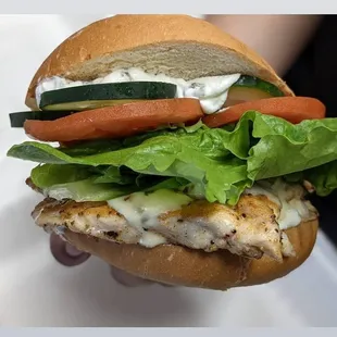 Medi Fresh Grilled Chicken