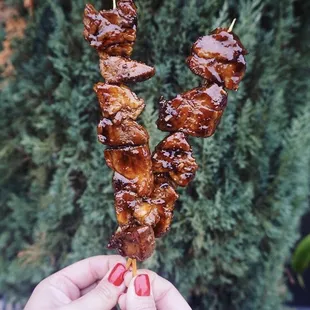 Pecan Smoked Skewers