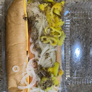 a hot dog with onions and mustard