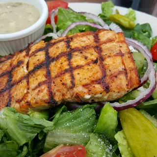 Salmon