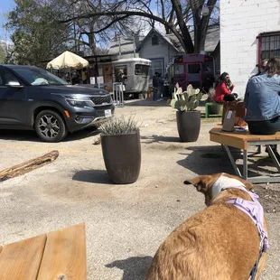 The coffee and taco truck