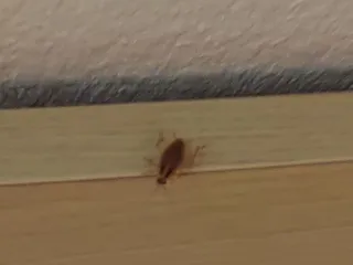 FairBridge Inn Express - London