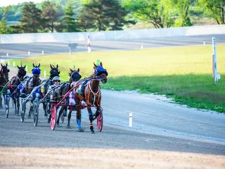 Eldorado Gaming Scioto Downs