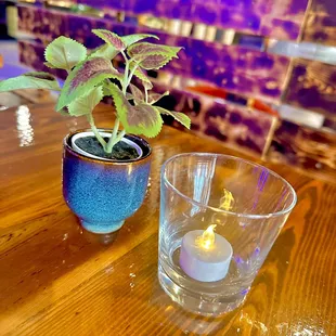 a candle and a plant on a table