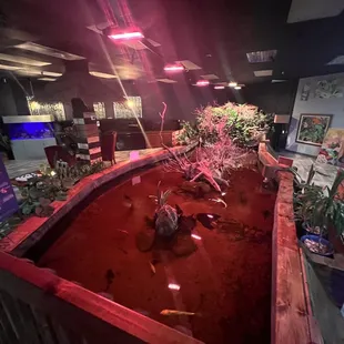 a fish pond in a museum